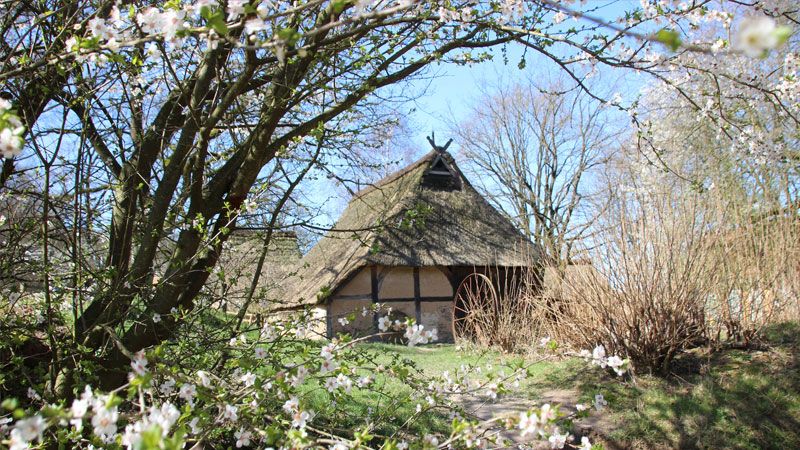 Ab MIttwoch öffnet das Freilichtmuseum am Kiekeberg wieder. | Foto: FLMK