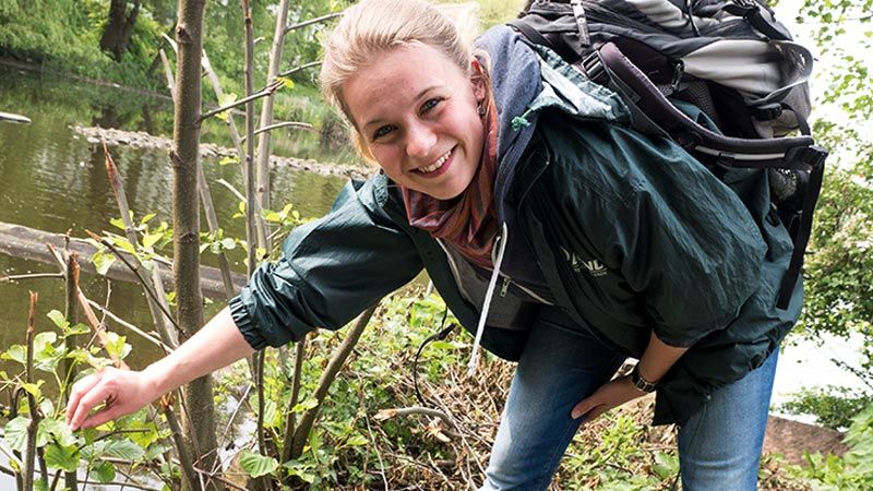 Am Freitag, 21. Juni, ist Helga Weise aus Heimfeld mit den Wanderfreunden Hamburg in Wilhelmsburg unterwegs.  | Foto: ein