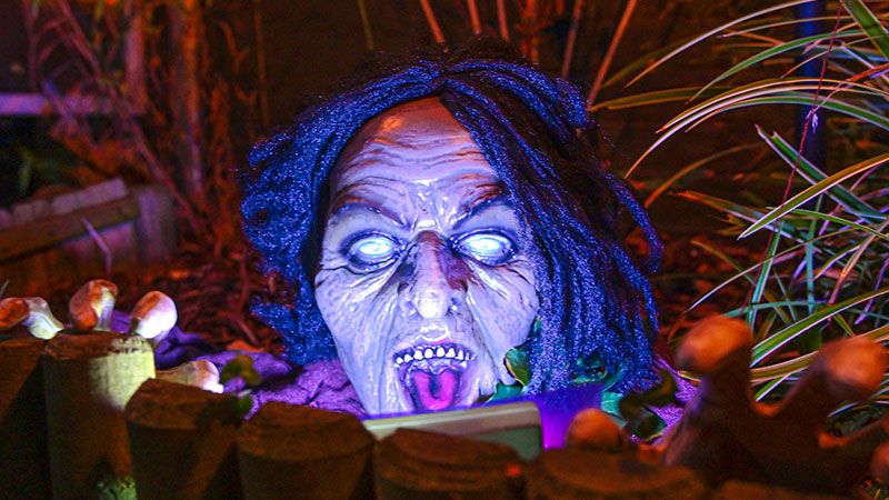 Halloween hat auch in Deutschland Einzug gehalten. Überall gibt es Gruselhäuser und Halloween-Partys. | Foto: Niels Kreller