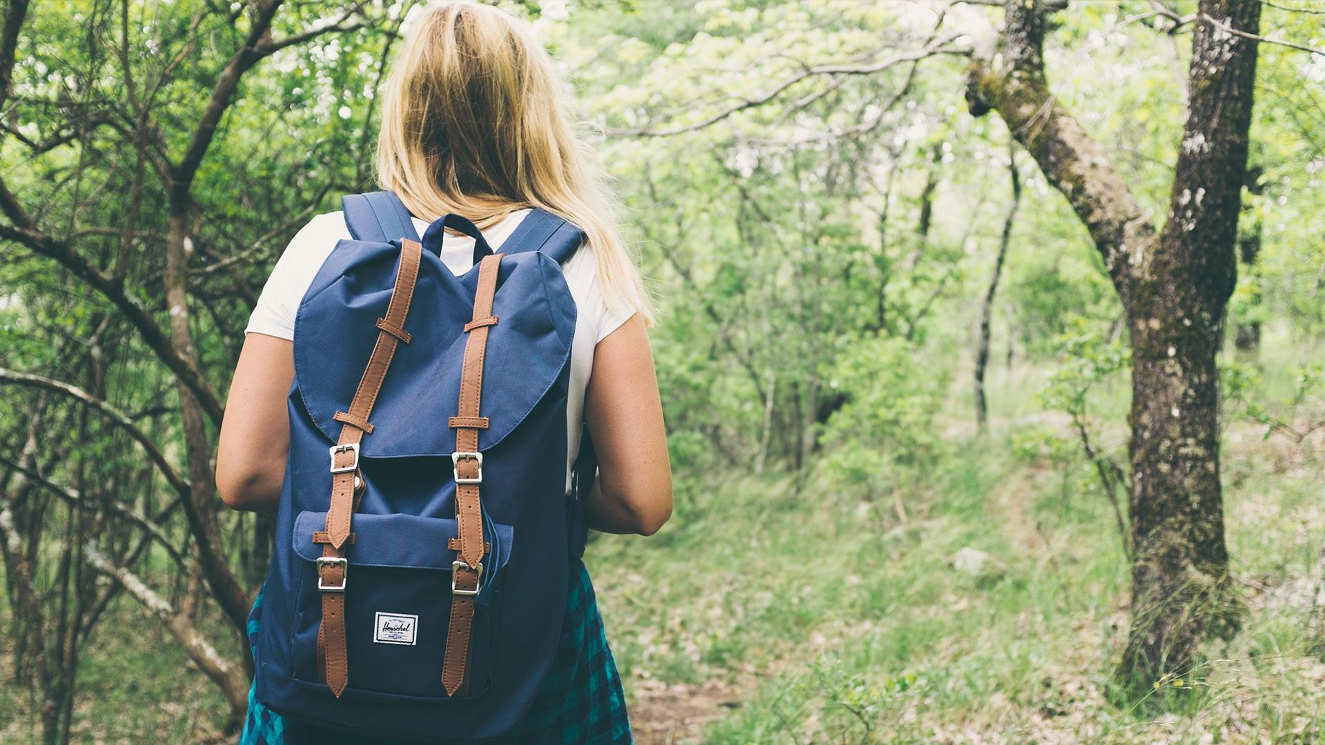 Das aktuelle Programm der "Wanderfreunde Hamburg" ist erschienen. | Foto: ein