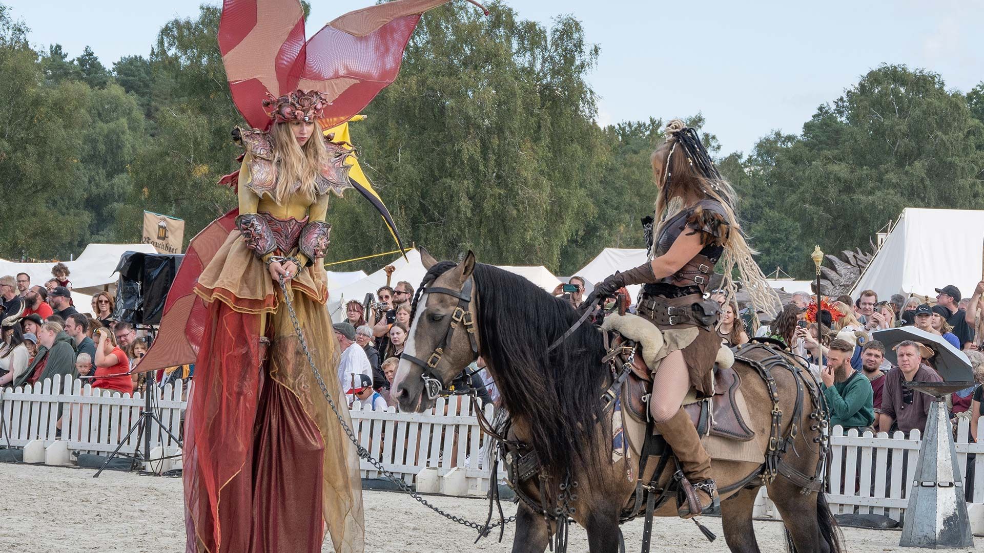 Fantastische Kostüme auf dem MPS in Luhmühlen. Foto: Sören Noffz