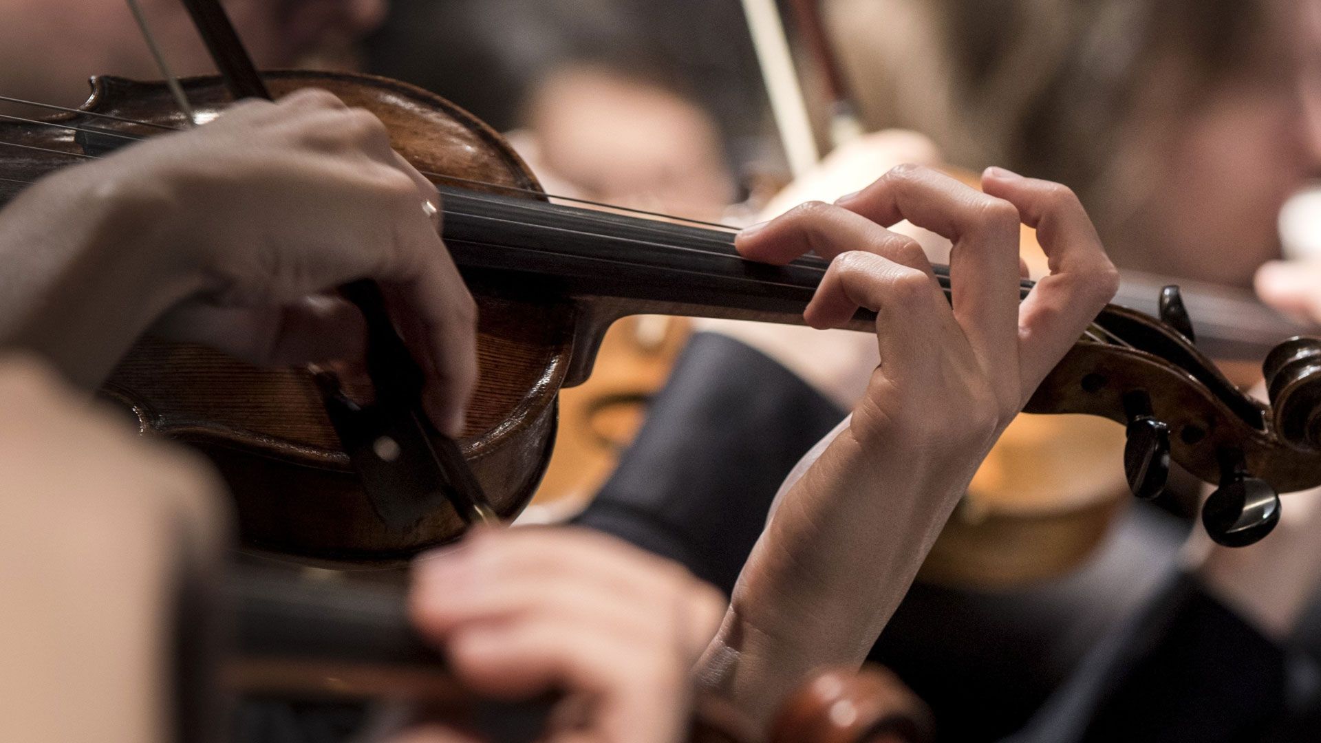 Das Philharmonische Staatsorchester Hamburg spielt in der Friedrich-Ebert-Halle. | Foto: ein