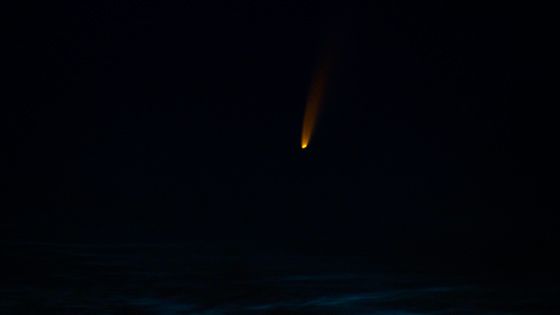 Der Komet "Neowise" ist mit bloßem Auge am Himmel zu erkennen. | Foto: By Rektoz - Own work, CC BY-SA 4.0, https://commons.wikimedia.org/w/index.php?curid=92022347