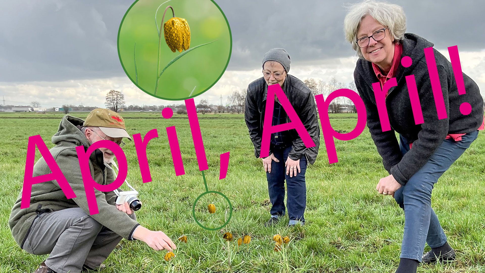 Einen gelungenen Aprilscherz hat die Gemeinde Seevetal zur anstehenden Blüte der Schachbrettblume gemacht. | Foto: Gemeinde Seevetal