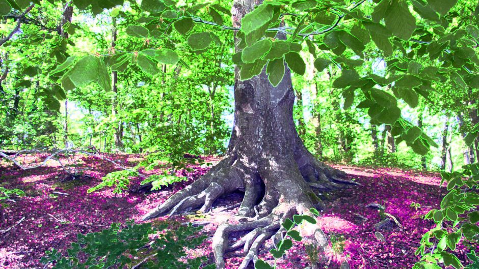 Lesung für den Baum: Schatten und Lichtwege. Foto: Gisela Baudy.