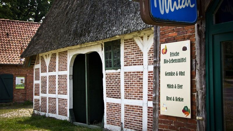 Der Museumsbauernhof Wennerstorf verkauft gerade Grünkohl-Jungpflanzen. | Foto: Ein