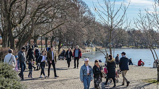 Im Harburger Stadtpark gab es den Kontrast zwischen Frühling und Sonne auf der einen und der noch mit einer Eissicht bedeckten Außenmühle auf der anderen Seite. | Foto: Niels Kreller