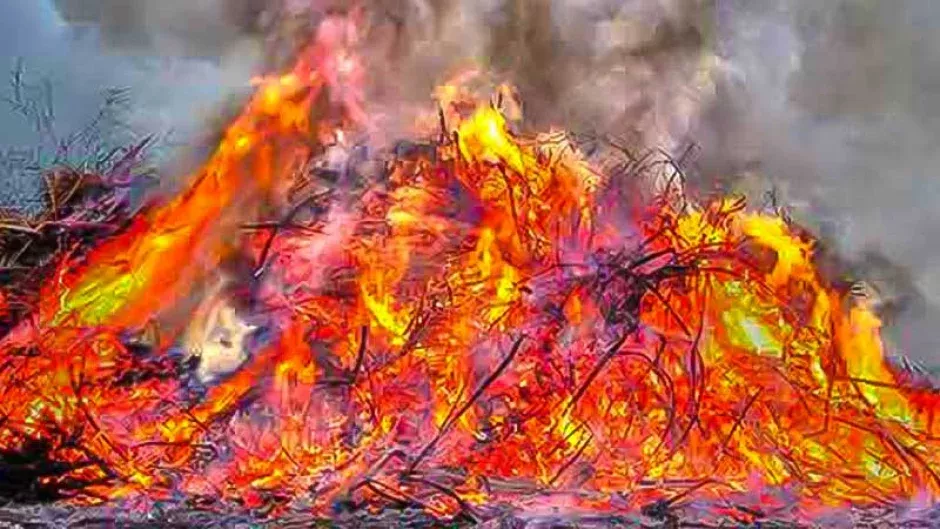 Die Osterfeuer im Landkreis Harburg blieben in diesem Jahr weitgehend friedlich, | Foto: Niels Kreller