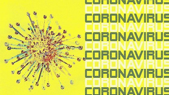 Im Landkreis Harburg ist die Zahl der am Corona-Virus Infizierten auf über 200 gestiegen. | Foto: pixabay