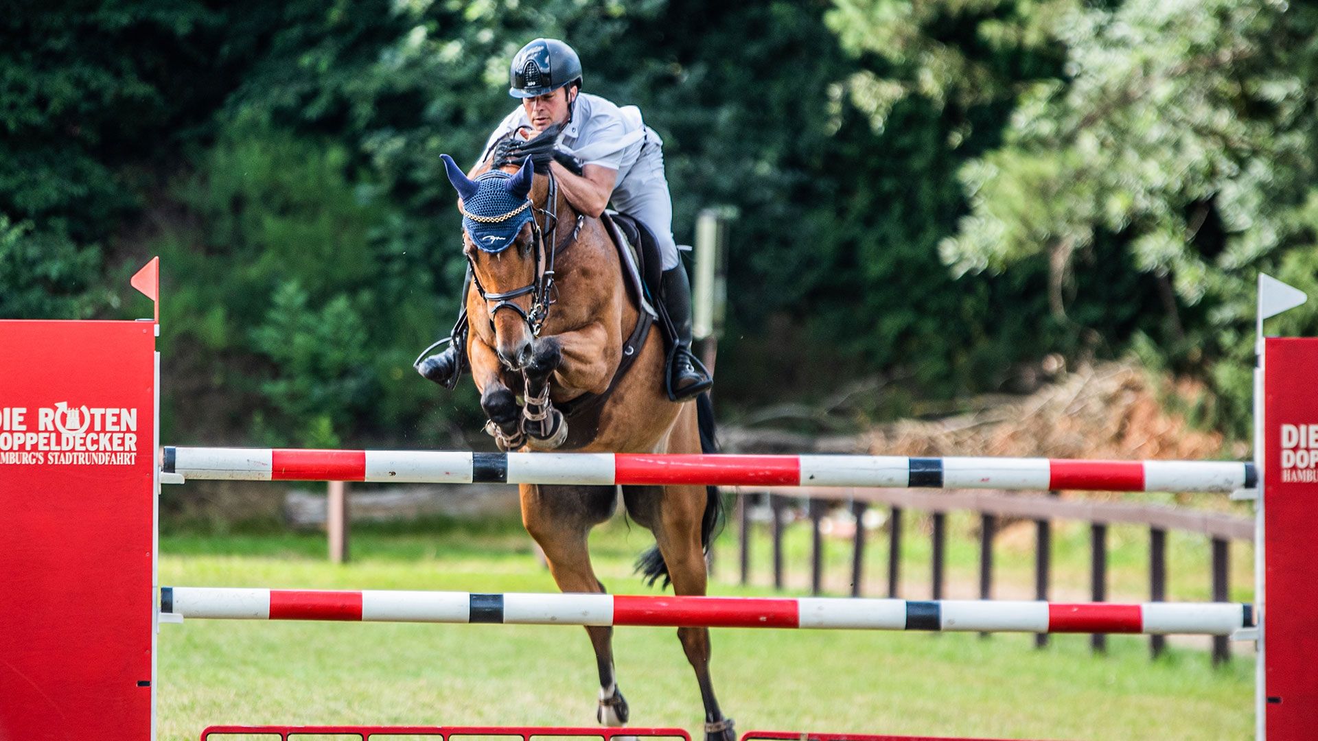 Vom 19. bis 21. Juli 2024 messen sich Profis und Amateure in vielseitigen Prüfungen auf dem Gelände des Harburger Reitvereins. | Foto: ein