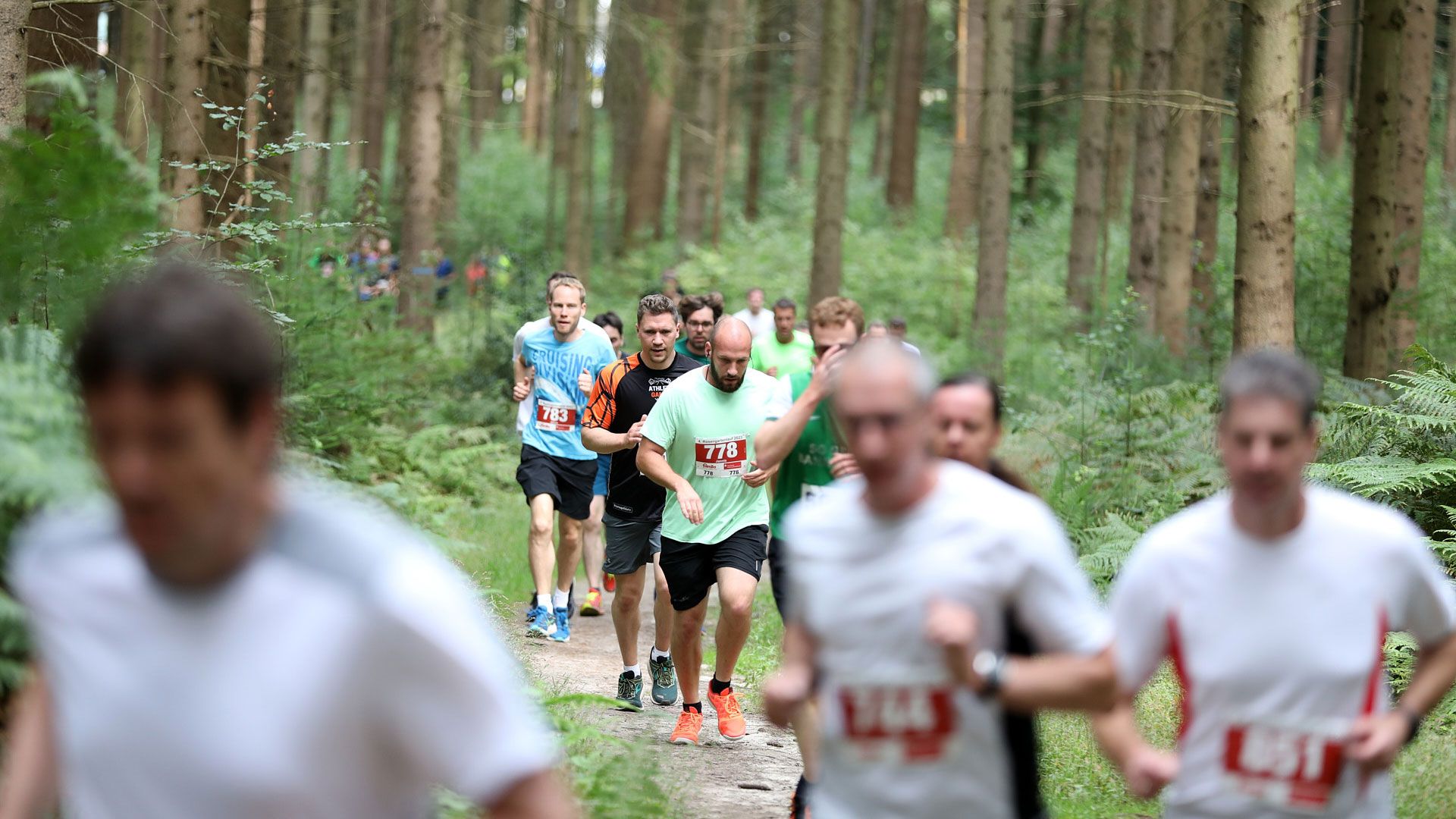 Wie hier auf der Viertelmarathon-Strecke nahmen viele Teilnehmer auf den insgesamt 13 Laufstrecken am Rosengartenlauf 2023 teil. | Foto: Andreas Beckmann/HNT