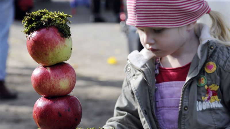 Am 17. Oktober dreht sich auf dem Museumsbauernhof Wennerstorf alles um den Apfel. | Foto: FLMK